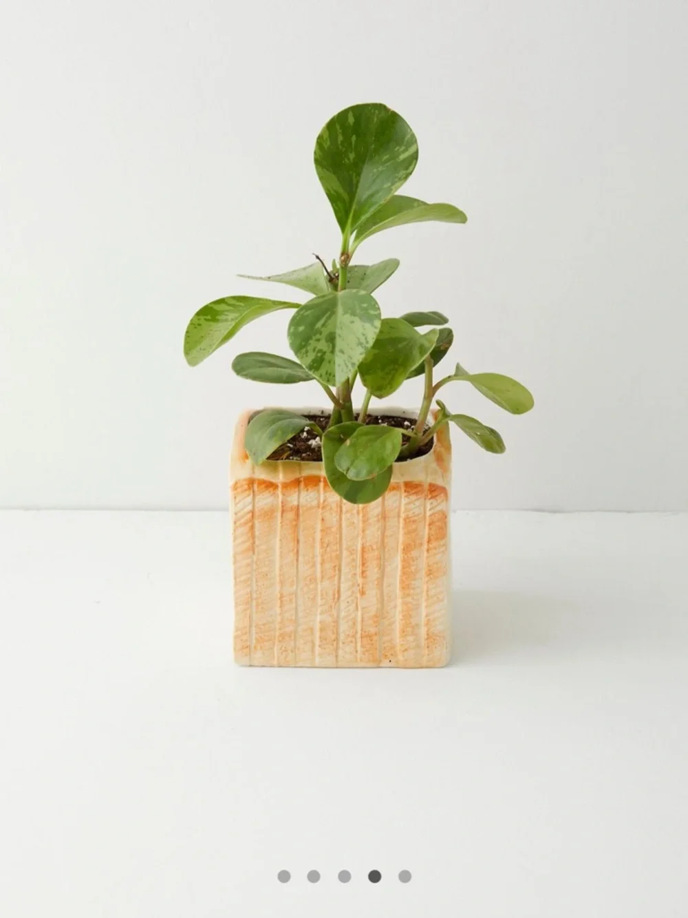 Urban Outfitters Bread Planter - Picture 2 of 11